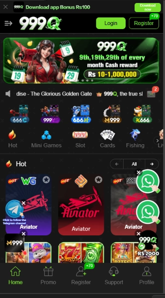 999Q Game